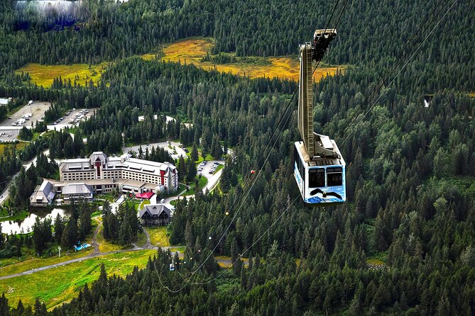Ultimate Anchorage and Turnagain Arm Private Full Day Tour - Reviews