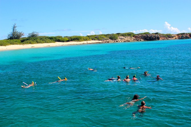 Ultimate Prickly Pear and Anguilla Experience - Positive Reviews