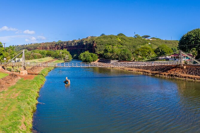 Ultimate Self-Guided Audio Driving Tour of Kauai (Na Pali, Waimea), Hawaii - Cancellation Policy and Traveler Reviews