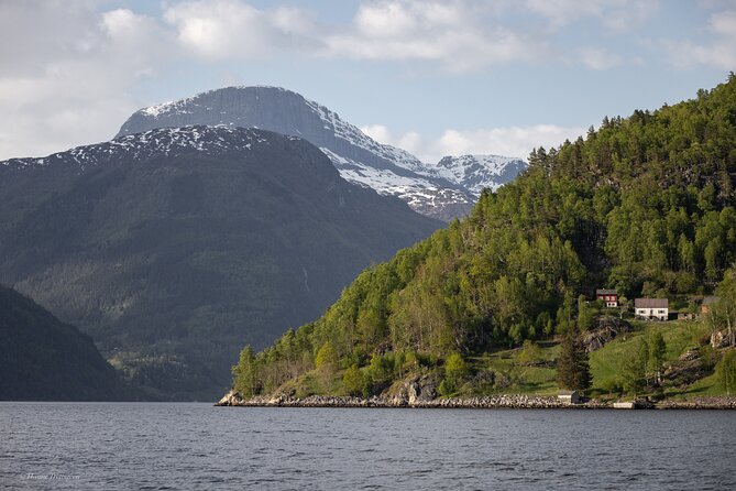 Ulvik Scenic RIB Adventure Tour to Osafjord - Traveler Photos