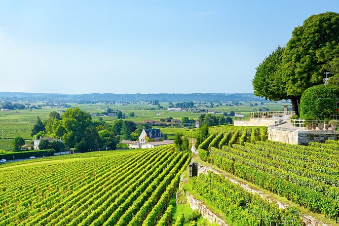 UNESCO Heritage and Wine Delights Private Tour From Bordeaux - Meeting and Pickup