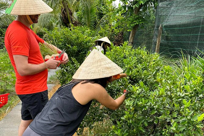 Unique Farm to Table Cooking Class With Top Chef in Vietnam - Farm Visit and Ingredient Sourcing