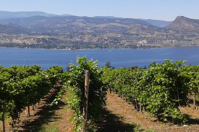 Unmatched Private Wine Tours for Up to 11 in Kelowna Area - The Sum Up
