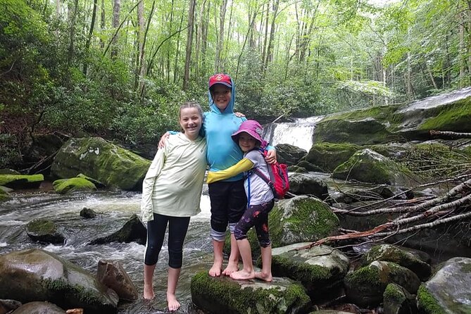 Unplugged Waterfall Hike in the Smokies - Wildlife and Nature Encounters