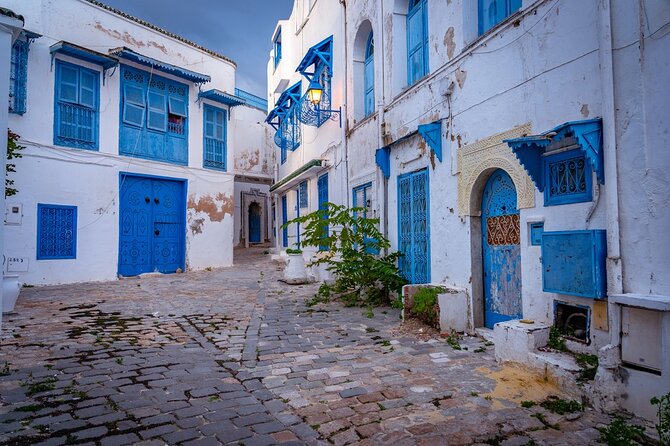 Unveiling the Beauty of Sidi Bou Said and Carthage Private Tour - Customized Itinerary
