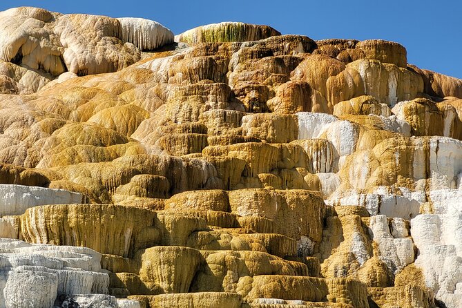 Upper Loop Yellowstone - Nature & Wildlife - Convenient Tour Inclusions