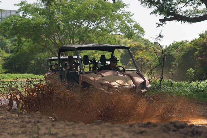 UTV Adventure in Naguabo Puerto Rico 50 Minutes Trip 80 Acres - The Sum Up