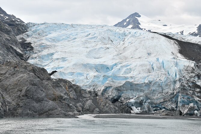 Valley of Glaciers Experience With Portage Glacier Cruise and Wildlife Tour - Cancellation Policy