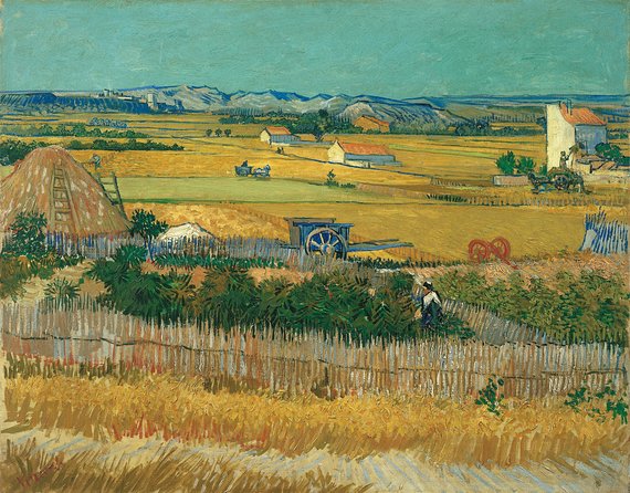 Van Gogh Museum Amsterdam & 1-Hour Canal Cruise - Common Questions