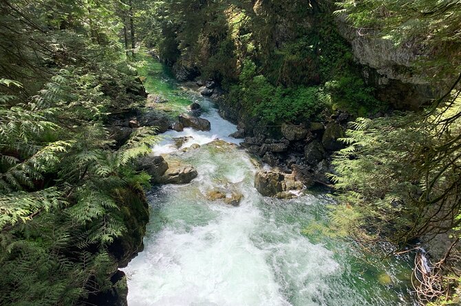 Vancouver Rainforest Hike With Waterfalls, Suspension Bridge, Old Growth Forest - Cancellation Policy