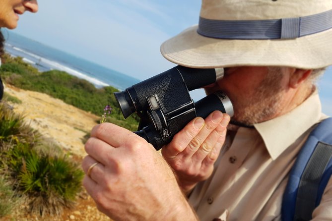Vendicari - Sicilys Best Coast Nature Reserve ( Birdwatching & Archeology ) - Coastal Hiking Trails in Vendicari