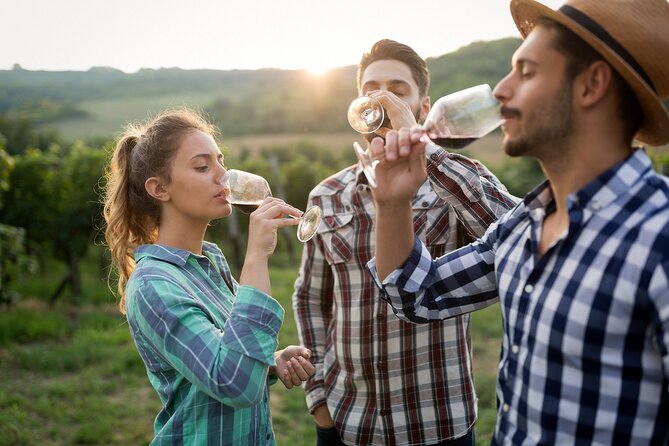 Veni Vidi Vino - the Freiburg Wine Hike - Good To Know