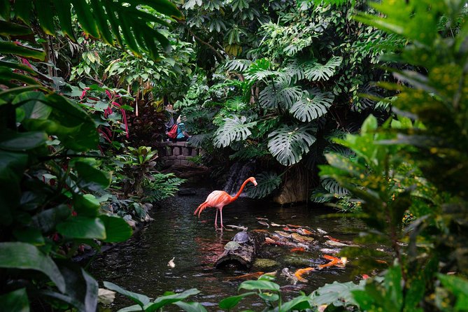 Victoria Butterfly Gardens Ticket - Attractions and Exhibits