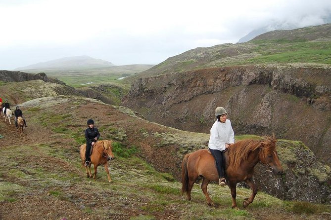 Viking Horse Riding and Golden Circle Tour From Reykjavik - Tour Organization