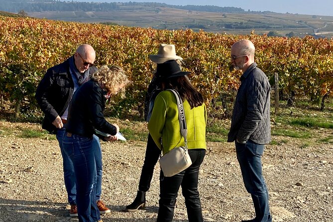 Vineyard and Wine Experience - Discovery 2h - Questions and Assistance