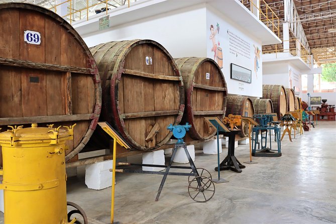 Vineyard & Buggy Tour in Huacachina / 1 Day Tour From Lima - Wine and Pisco-making Process