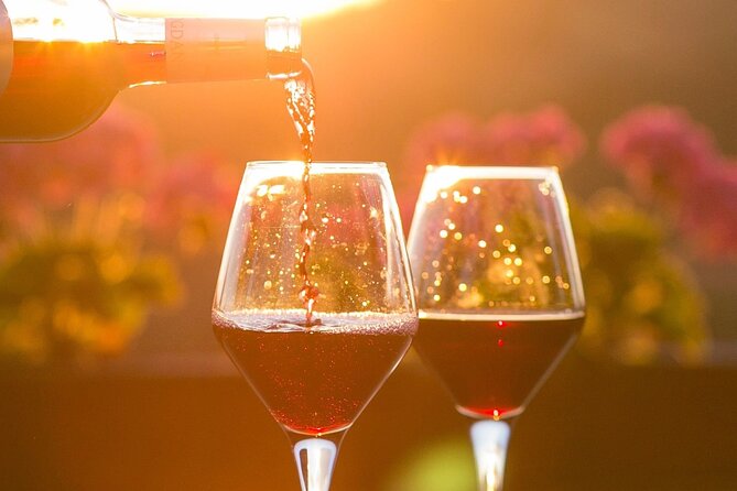 Vineyard Tour and Wine Tasting in Davron - Cancellation and Refund Policy