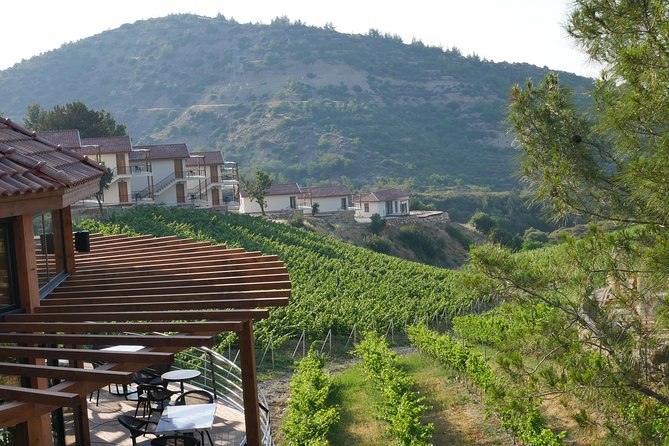 Vineyard & Wine Tasting Tour - Weather Policy