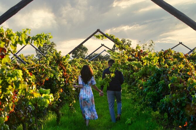 Vineyards, Wine Tasting and Pairing in San Miguel - Common Questions
