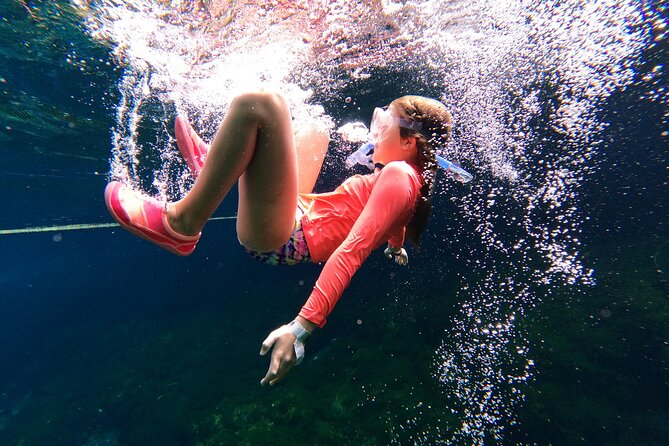 VIP Cenotes Private Tour (half-day) - Overview and Tour Details