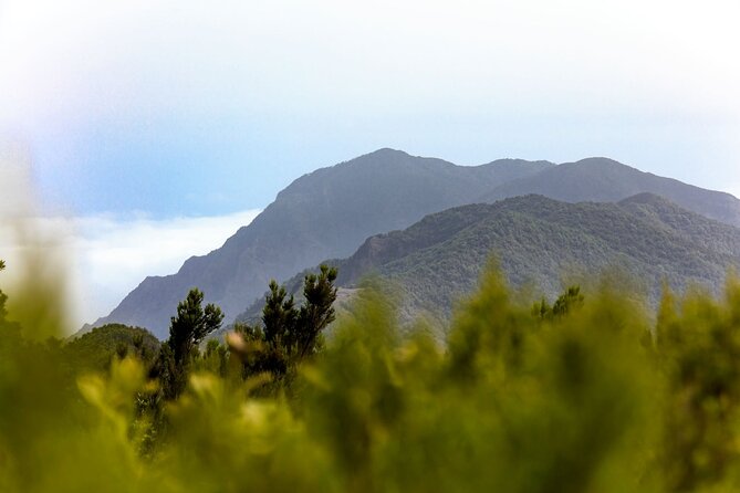 VIP Guided Tour of La Gomera With Garajonay Park and Lunch - Common Questions
