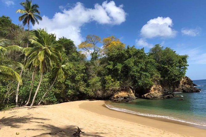 VIP Inclusive Private Tour of Island (Lunch, Drinks Snorkeling) - Cancellation Policy