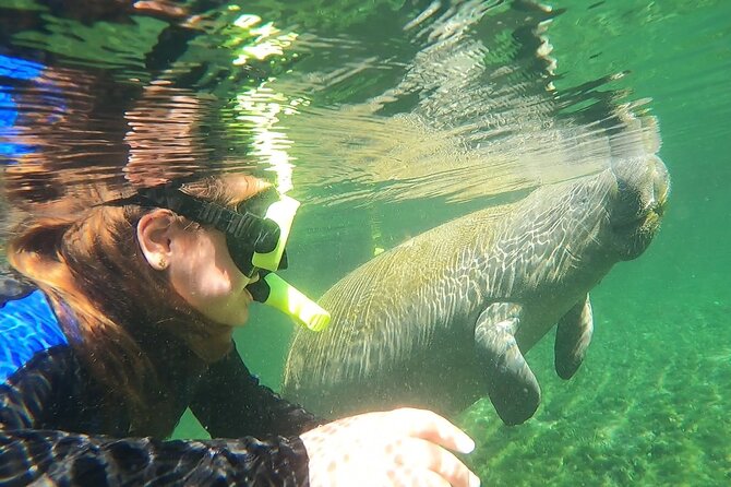 VIP Private Boat Manatee Snorkel Tour With In-Water Guide and Photograper - Coffee And/Or Tea