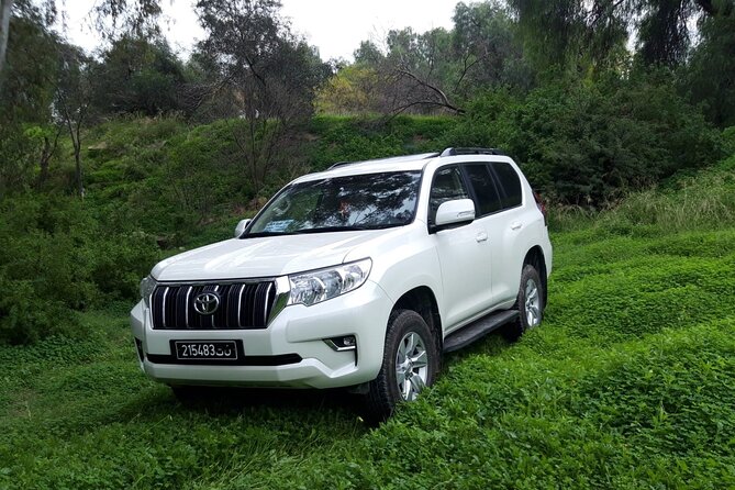 VIP Transfer Between Tunis Carthage Airport and a Hotel in Tunis - Reviews