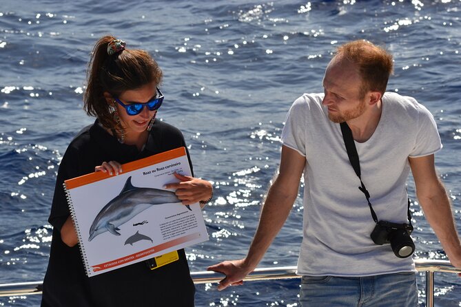 VipDolphins Luxury Whale Watching - What to Expect