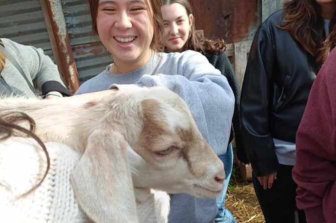 Visit a Goat Farm in a Village and Taste Local Flavours - Guided Tour at the Goat Farm