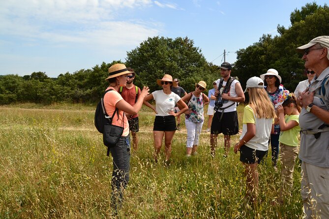 Visit a Lavender Fields Farm and Enjoy a Yoga Class in Provence - Details of the Farm Tour