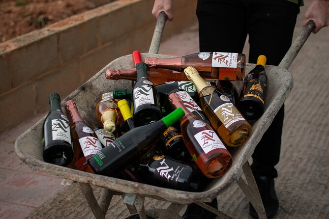 Visit and Guided Tasting at Vives Ambros Winery in Montferri - Cancellation Policy