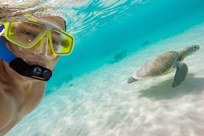 Waikiki Catamaran Cruise and Snorkeling  - Oahu - Lack of Guidance and Assistance