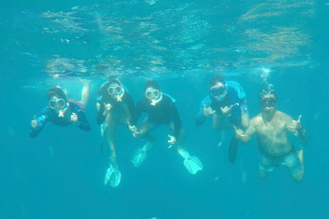 Waikiki Small Group Turtle Snorkeling & Sailing - Traveler Photos of the Experience