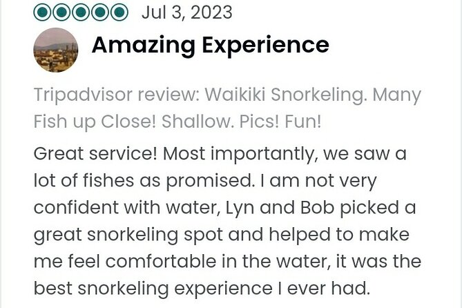 Waikiki Snorkeling. Free Pictures and Video! Shallow. Many Fish! - Snorkeling Amongst the Vibrant Coral