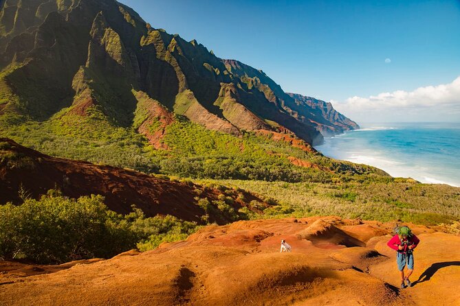 Waimea Canyon Private Tour With Local Guide - Reviews