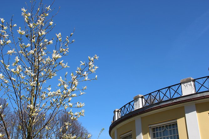 Walk Malmö With an Audio Guide - Meeting and Pickup