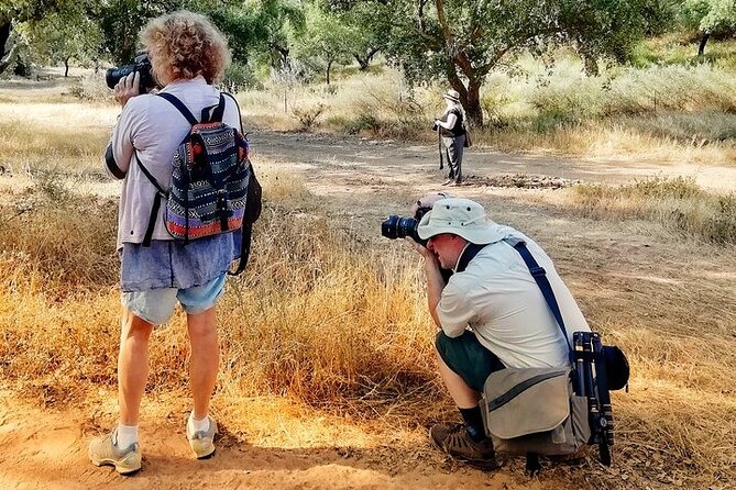 Walk on the Alentejo Cork Forest With Optional Lunch - Tour Details