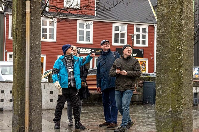 Walk With a Viking: Private Tour of Reykjaviks Top Sights and Local Spots - Customizable Itinerary