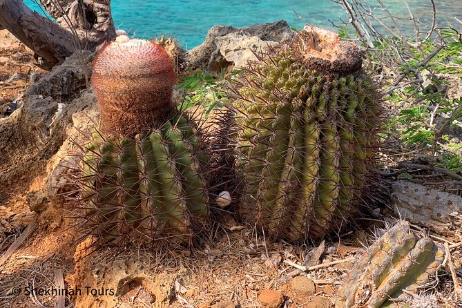 Washington Park Tour With Local Guide on Bonaire - Common Questions