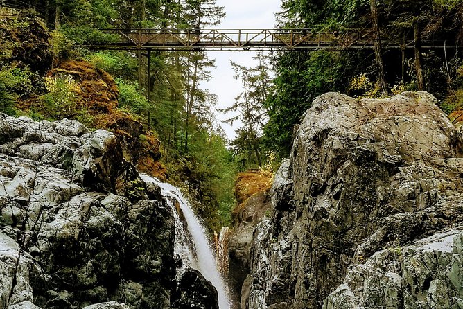 Waterfalls, Cathedral Grove Rainforest, and Coombs Adventure With Hiking - Helpful Information and Questions