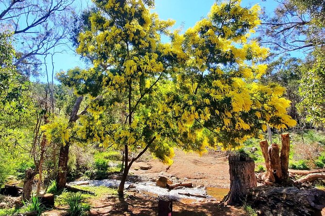 Waterfalls, Wildflowers & Wandoo Hiking Experience - What to Bring for the Hiking Experience