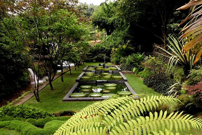 Whale and Dolphin Cruise Plus Furnas and Terra Nostra Trip  - Sao Miguel - Lowest Price Guarantee