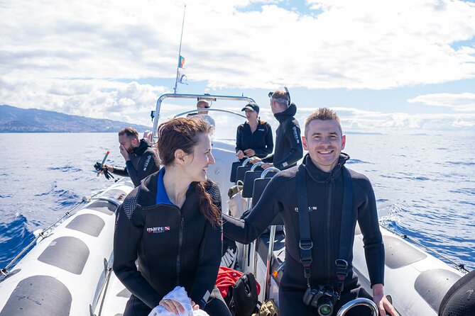 Whale and Dolphin Watching Tour - Funchal - Expectations and Requirements