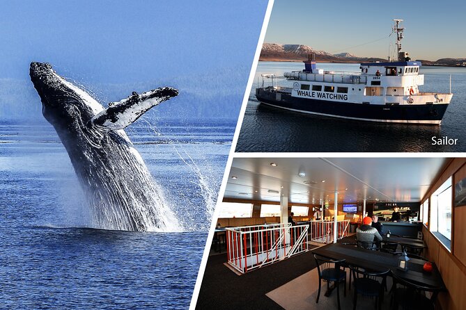 Whale Watching and Marine Life Tour in Reykjavik - Scenic Views of Reykjaviks Coastline