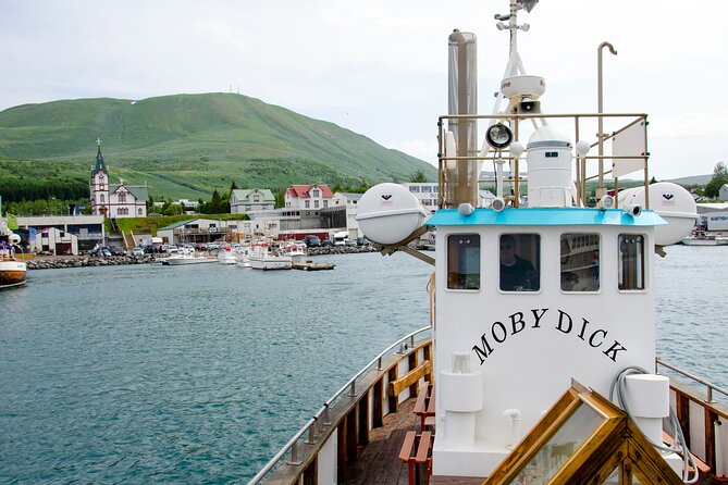 Whale Watching in Húsavík With Friends of Moby Dick - Expectations and Accessibility