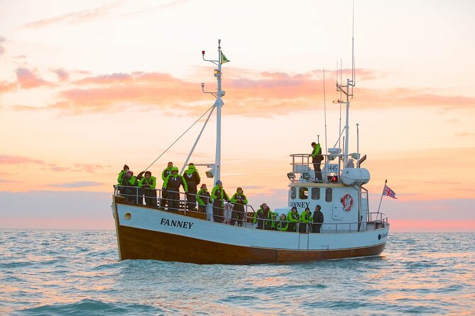 Whale Watching in Husavik - Tour Details and Inclusions