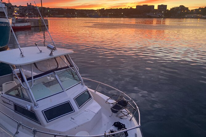 Whale Watching, Shark and Cod Fishing, From St. Johns Harbor - What to Expect During the Activity