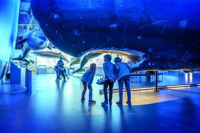 Whales Of Iceland Admission Ticket - Interactive Learning Stations and Videos
