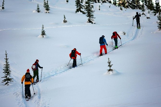 Whistler Backcountry Skiing and Splitboarding - Local Guide and Safety Measures